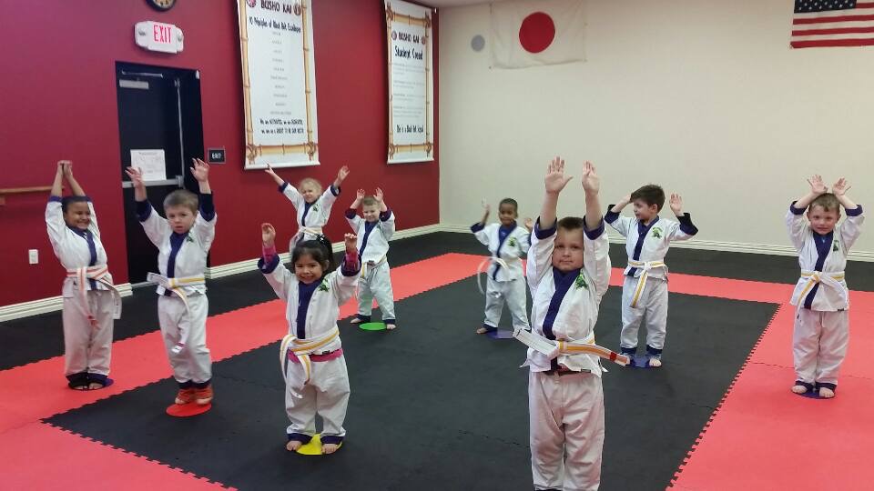 Karate Lessons at KidzCare